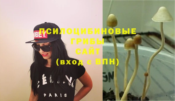 не бодяженный Вязьма