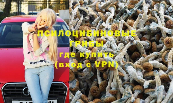 а пвп мука Вяземский