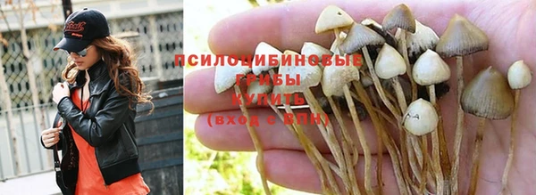не бодяженный Вязьма
