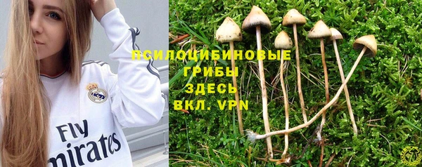а пвп мука Вяземский